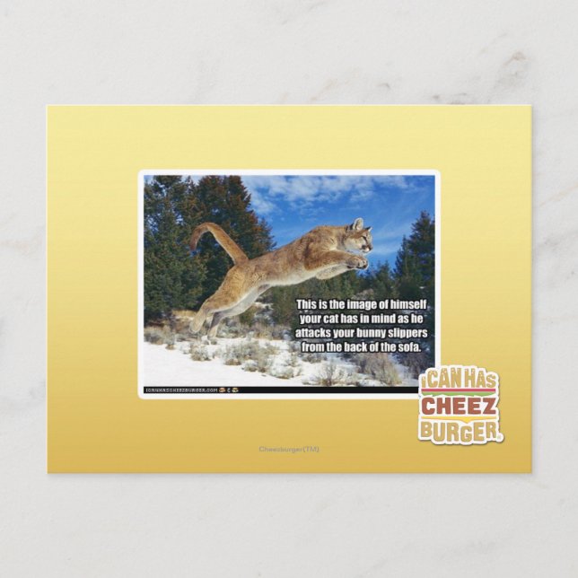 Cartão Postal Imagem de gato (Frente)