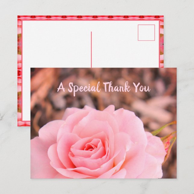 Cartão Postal Imagem de Rosa Floral (Frente/Verso)