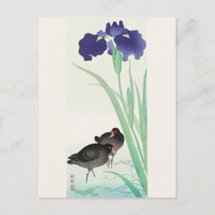 Cartão Postal Imagem de Waterhoots e Iris por Ohara Koson