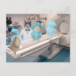 Cartão Postal Imagem Engraçada de Digitalização de Cat