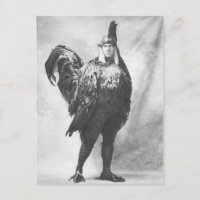 Imagem estranha e engraçada da fantasia de frango