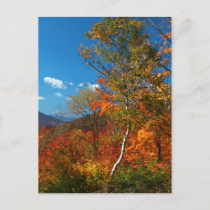 Cartão Postal Imagens do outono