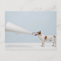 Imagens Getty | Cachorro Falante