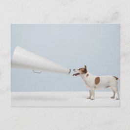 Cartão Postal Imagens Getty | Cachorro Falante