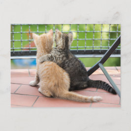 Cartão Postal Imagens Getty | Dois gatinhos numa sacada