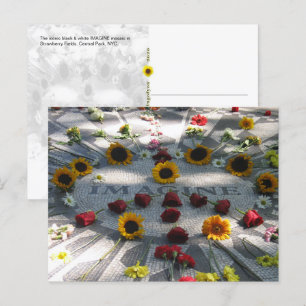 Cartão Postal IMAGINE Mosaico, Campos de Morango, NY - H