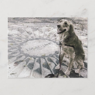 Cartão Postal "Imagine" também conhecido como "Ouro em Campos de