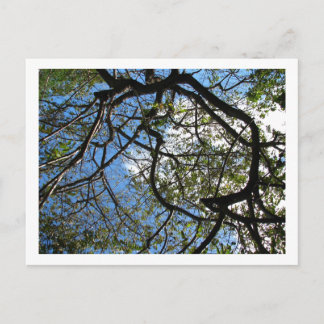 CARTÃO POSTAL IMG_0078