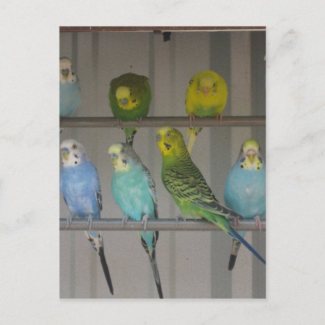 CARTÃO POSTAL IMG_0348 (Frente)