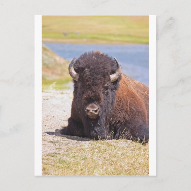 CARTÃO POSTAL IMG_1227_1 (Frente)