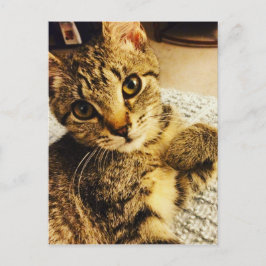 CARTÃO POSTAL IMG_3770.JPG