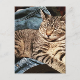 CARTÃO POSTAL IMG_3960.JPG