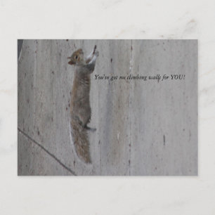 Cartão Postal IMG_3995, Você me fez escalar paredes por VOCÊ!