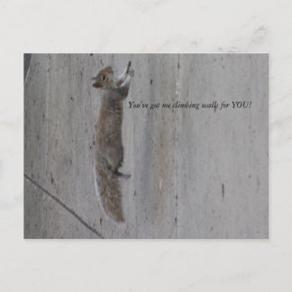 Cartão Postal IMG_3995, Você me fez escalar paredes por VOCÊ!