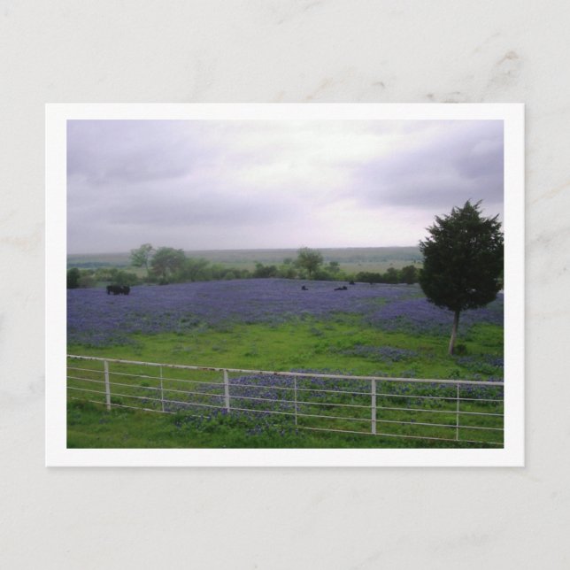 CARTÃO POSTAL IMGP4300 (Frente)