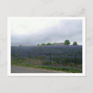 CARTÃO POSTAL IMGP4303