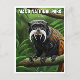 Cartão Postal Imperador Tamarin no Parque Nacional de Manu, Peru