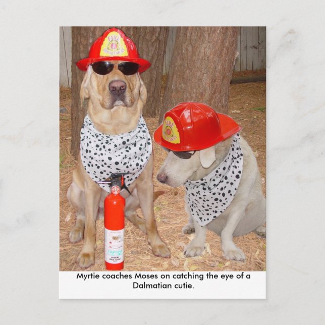 Cartão Postal Impostor (Frente)