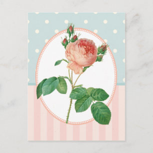 Cartão Postal Impressão Botânica de Rosa Pink Colagem Vintage