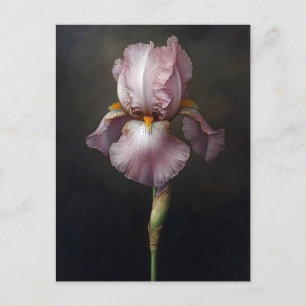 Cartão Postal Impressão Botânica Roxa Iris