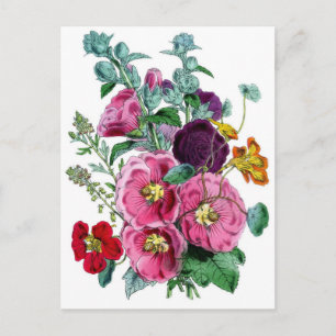Cartão Postal Impressão botânico - Hollyhocks e Rosas