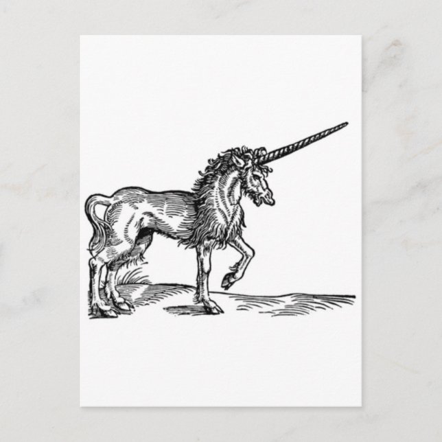 Cartão Postal IMPRESSÃO da UNICORN. 1551 (Frente)