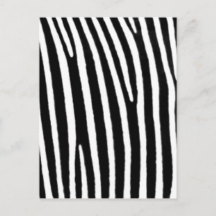 Cartão Postal Impressão de animal zebra