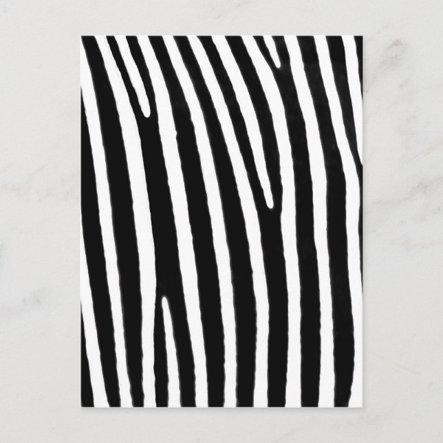 Cartão Postal Impressão de animal zebra (Frente)