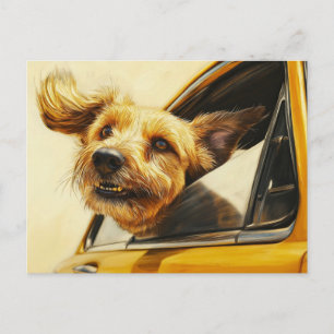 Cartão Postal Impressão de Arte de Cachorro Divertido em Carro