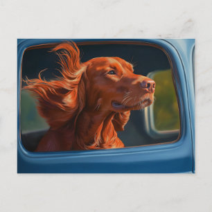 Cartão Postal Impressão de Arte de Cachorro Vermelho Apreciando 