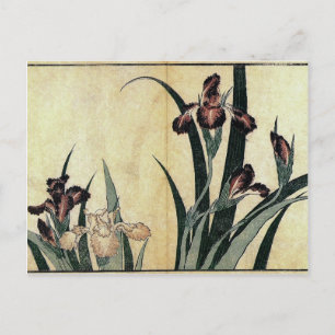 Cartão Postal Impressão de corte de madeira Ukiyo-e de Katsushik