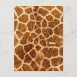 Cartão Postal impressão de girafa-animal da moda africana russa
