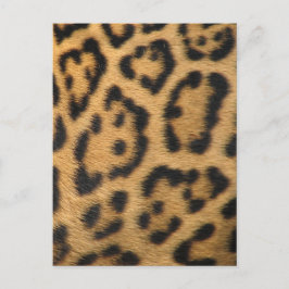 Cartão Postal Impressão de Leopardo