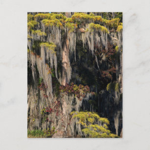 Cartão Postal Impressão de Pond em Pântano Inundado