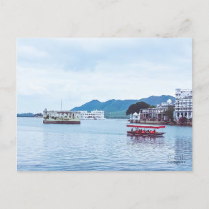 Cartão Postal Impressão de tela estendida - Lindos pinos do Pal