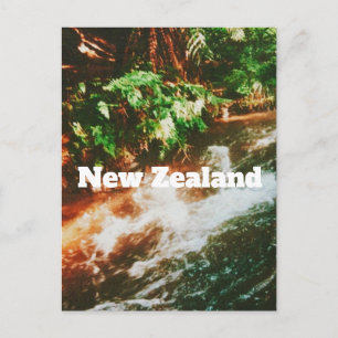 Cartão Postal Impressão de viagem da Nova Zelândia