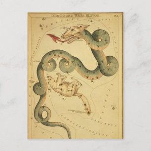 Cartão Postal Impressão Draco & Ursa Menor da astronomia da Vin