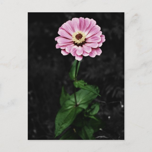 Cartão Postal Impressão duradoura (Frente)