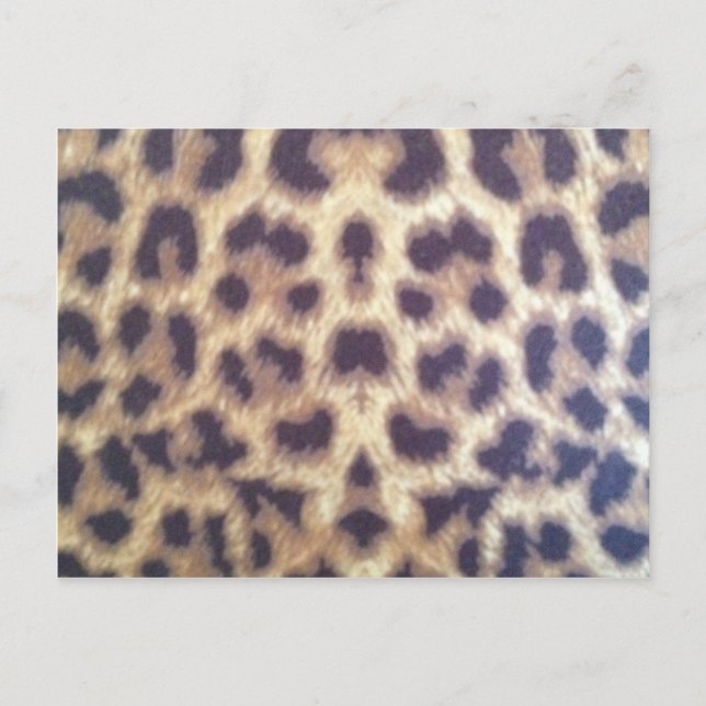 Cartão Postal Impressão Leopardo #36884 (Frente)