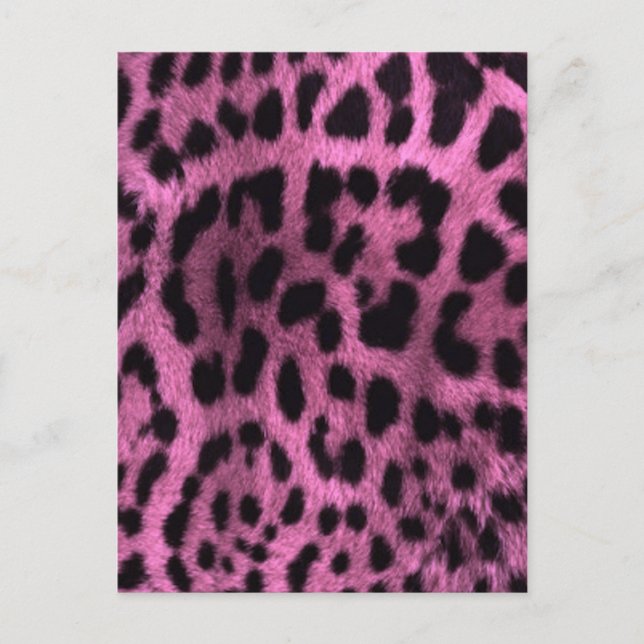 Cartão Postal Impressão sobre o leopardo animal - rosa (Frente)