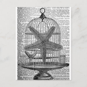 Cartão Postal impressão steampunk Birdcage - Dicionário de praia