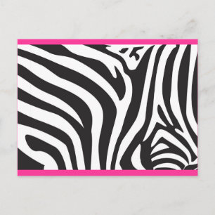 Cartão Postal Impressão Zebra