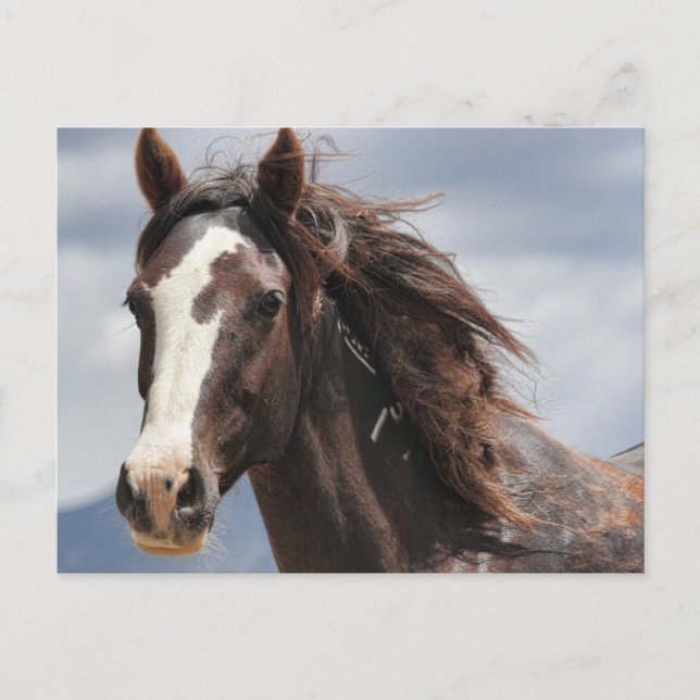 Cartão Postal Impressionante (Frente)