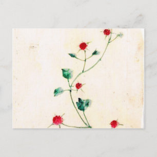 Cartão Postal Impressões Asiáticas Antigas