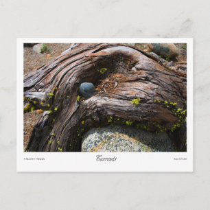 Cartão Postal Impressões de corrente