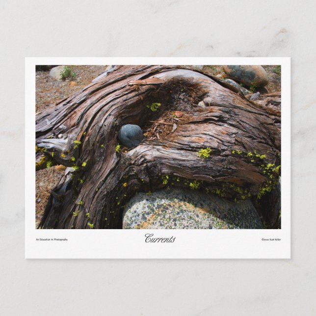 Cartão Postal Impressões de corrente (Frente)