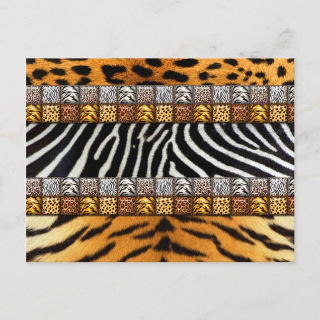Cartão Postal Impressões Safari (Frente)
