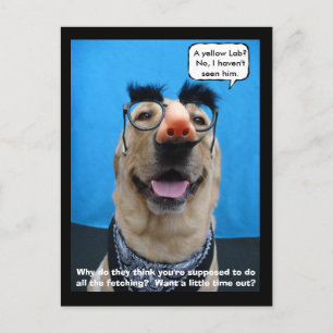 Cartão Postal Incognito