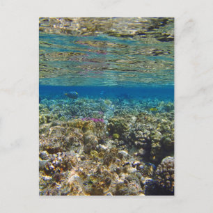 Cartão Postal incrível mar vermelho