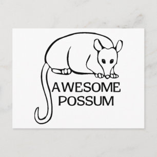 Cartão Postal Incrível Possum